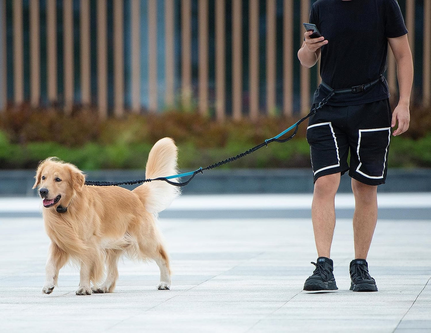 Hands-Free Dog Leash – Bungee, Dual Handles & Storage Pouch for Medium Dogs (8–25 lbs)