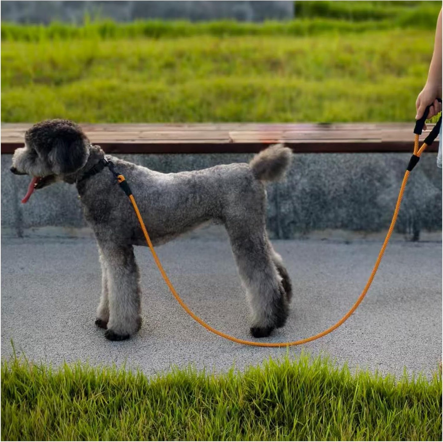 Heavy Duty Nylon Dog Leash – 6 ft Rope Leash with Padded Handle for Large & Medium Dogs 