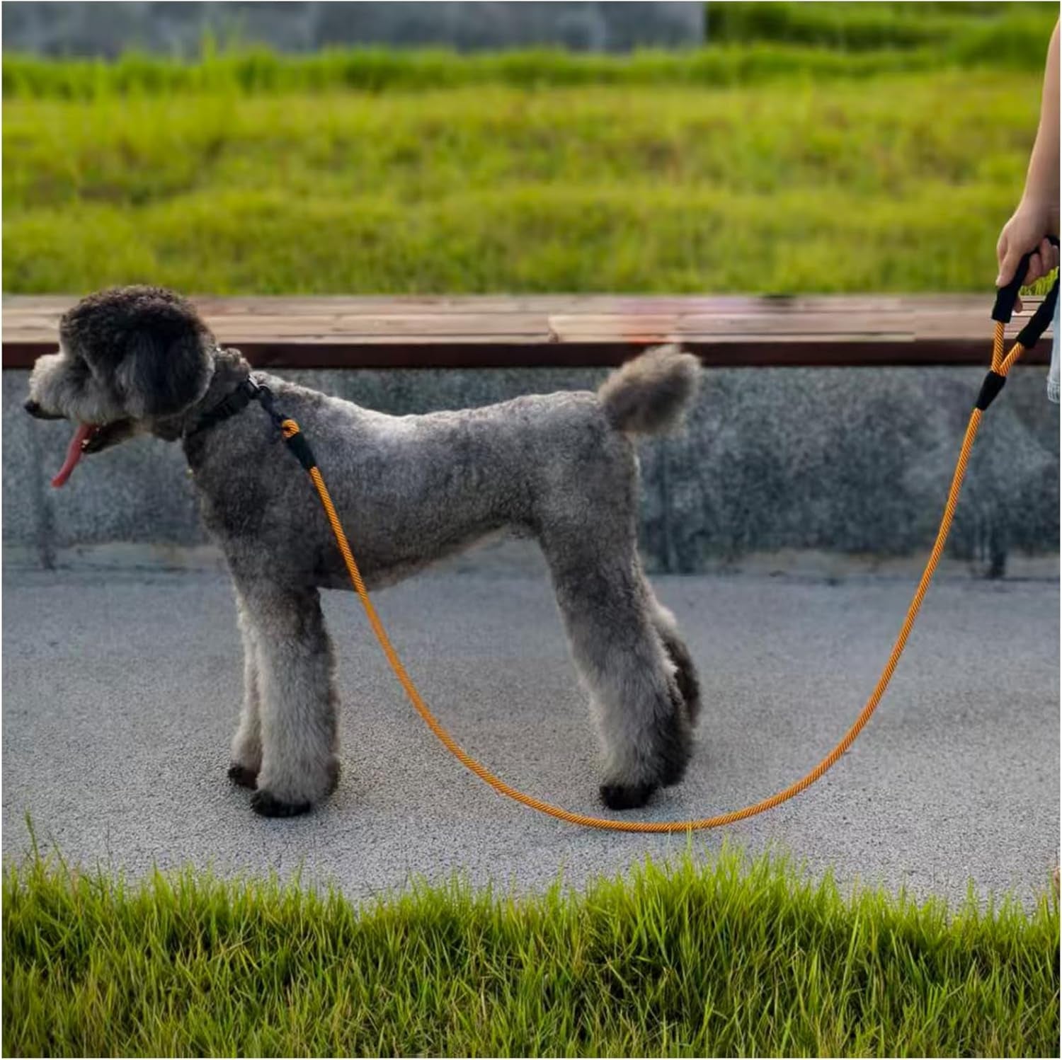 Heavy Duty Nylon Dog Leash – 6 ft Rope Leash with Padded Handle for Large & Medium Dogs 