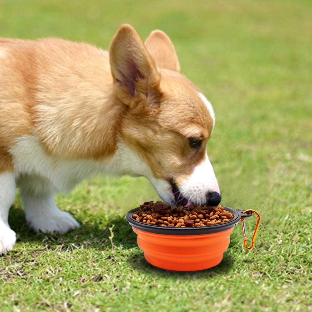 Collapsible Dog Bowls – 2-Pack Portable Pet Feeding & Watering Dishes with Carabiners