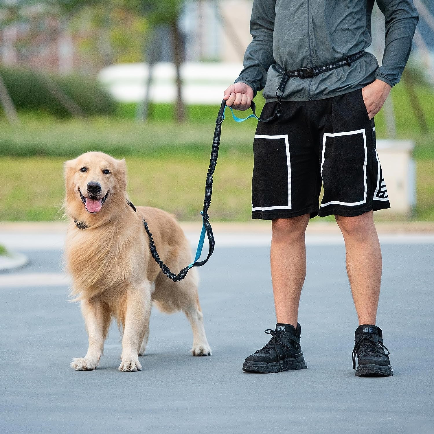 Hands-Free Dog Leash – Bungee, Dual Handles & Storage Pouch for Medium Dogs (8–25 lbs)