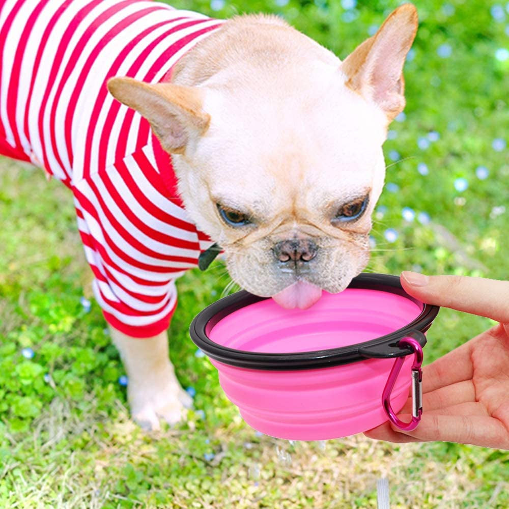 Collapsible Dog Bowls – 2-Pack Portable Pet Feeding & Watering Dishes with Carabiners