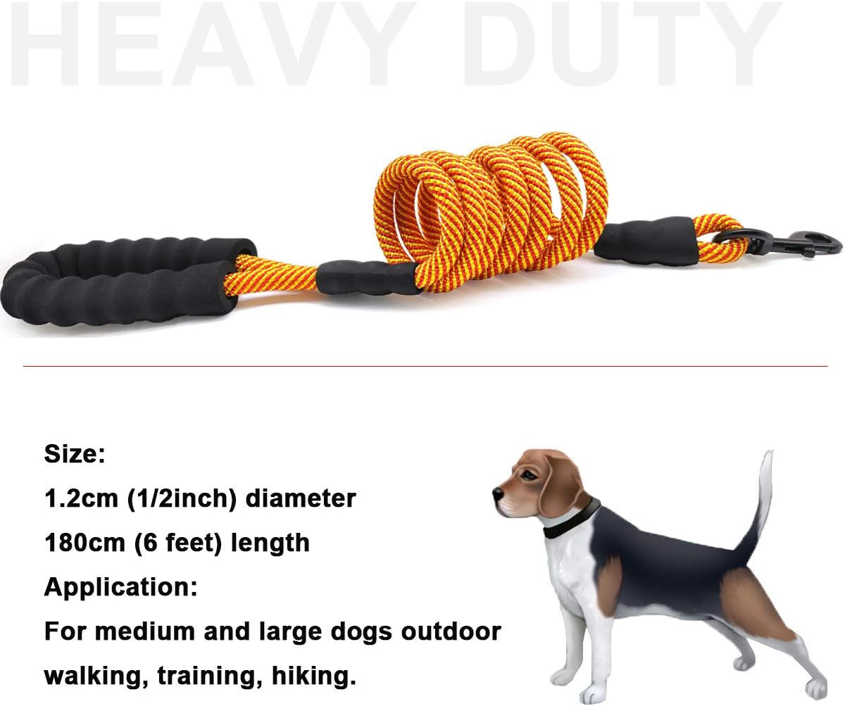 Heavy Duty Nylon Dog Leash – 6 ft Rope Leash with Padded Handle for Large & Medium Dogs 