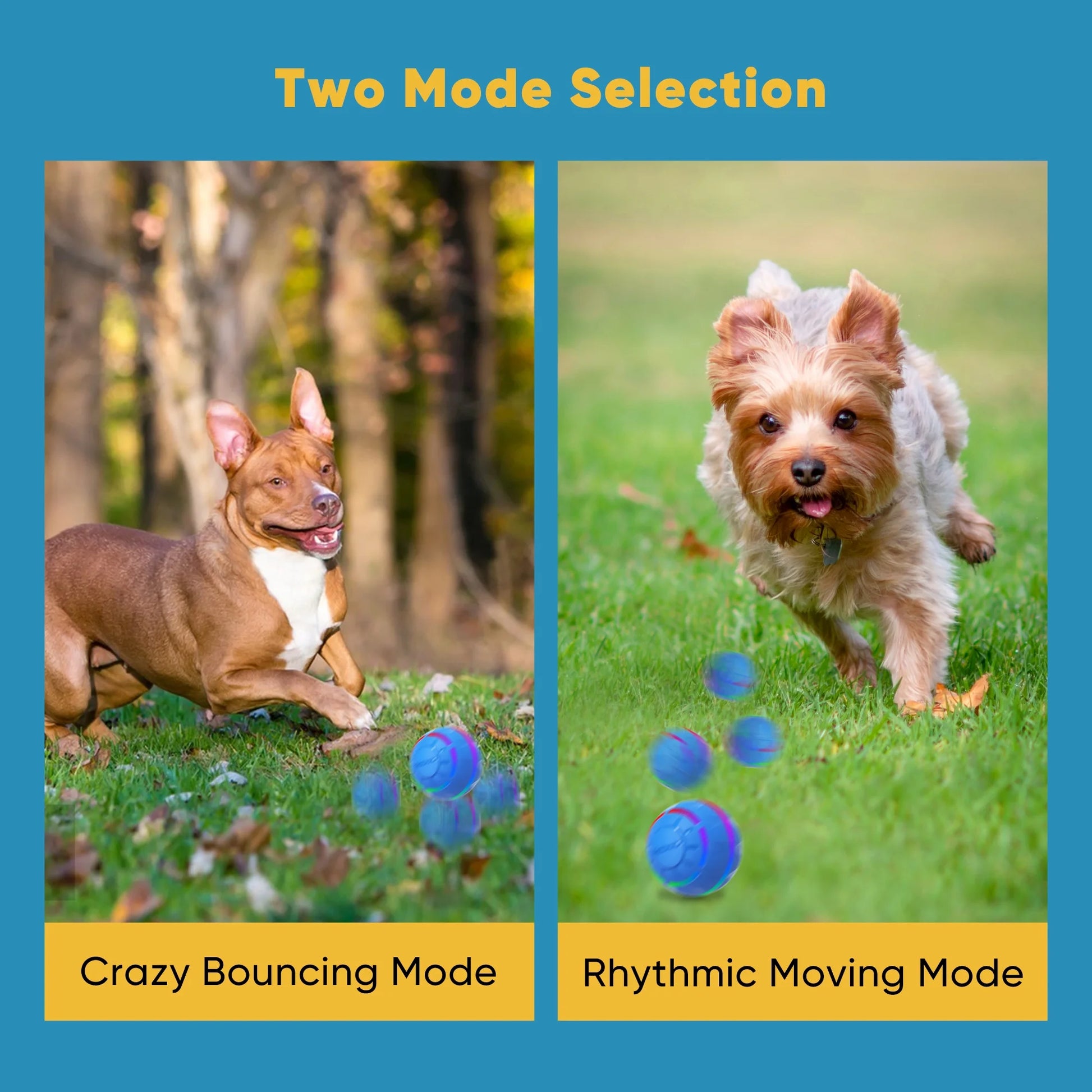 Interactive Dog Toy Ball – Rolling LED Ball for Medium & Large Dogs, USB Rechargeable