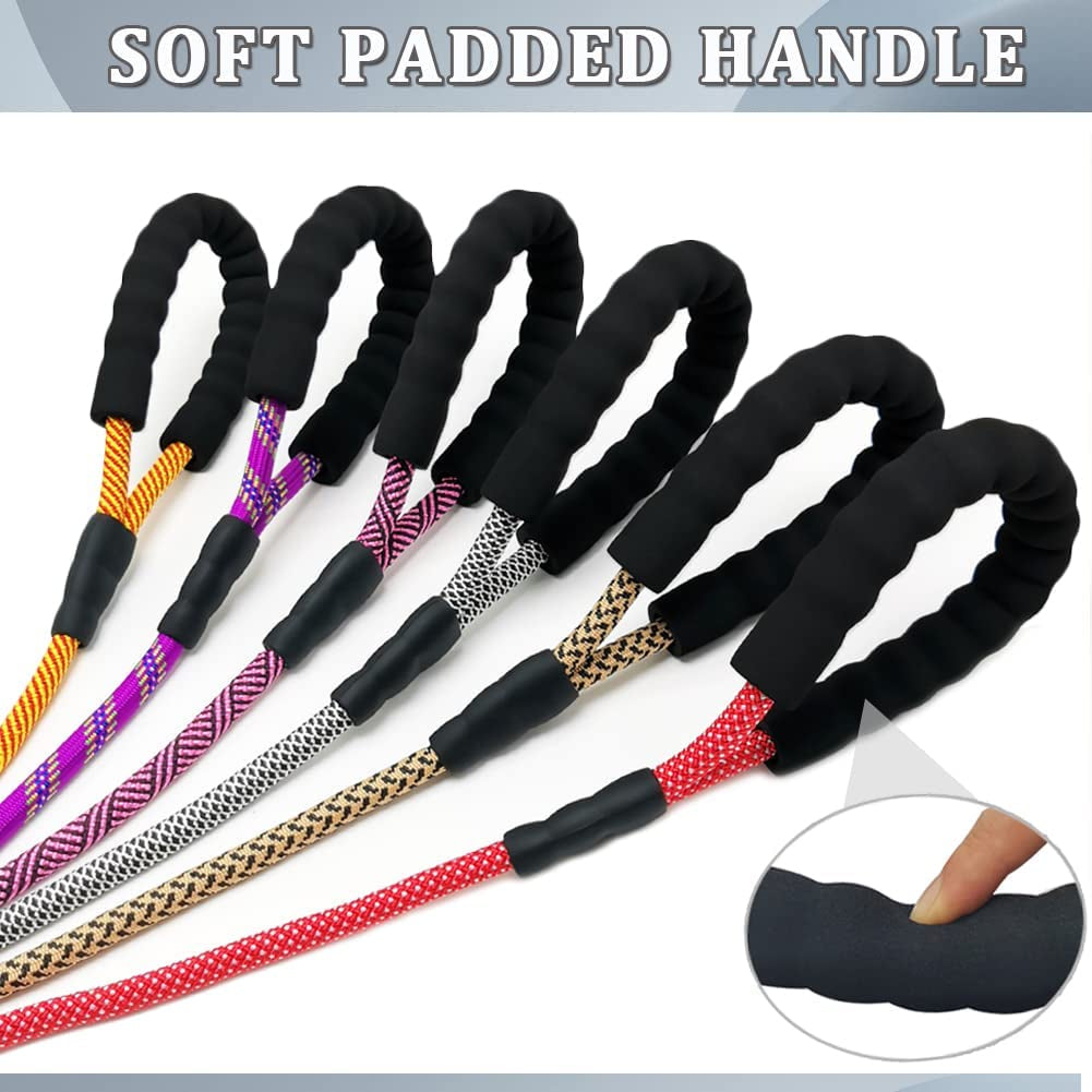 Heavy Duty Nylon Dog Leash – 6 ft Rope Leash with Padded Handle for Large & Medium Dogs 